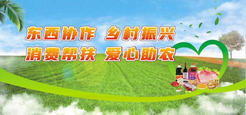 用户登录