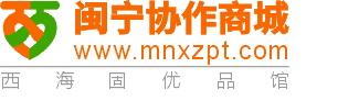 闽宁协作商城