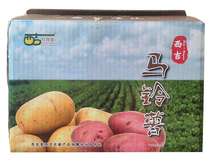 西吉县 西农红皮土豆马铃薯（青薯9号）6kg